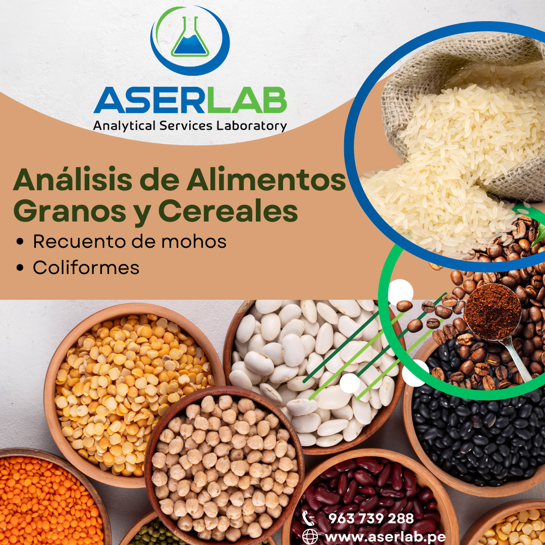 Capacitación y Servicios